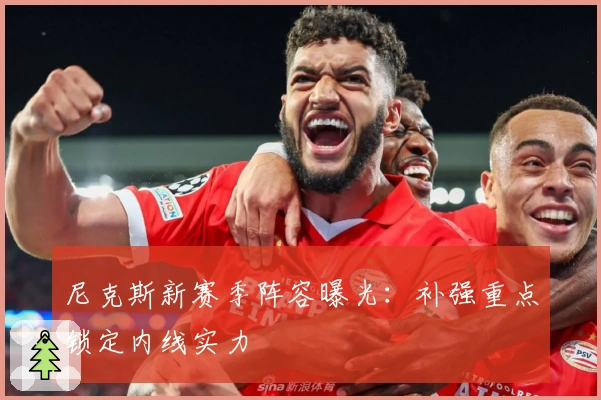 尼克斯新赛季阵容曝光：补强重点锁定内线实力